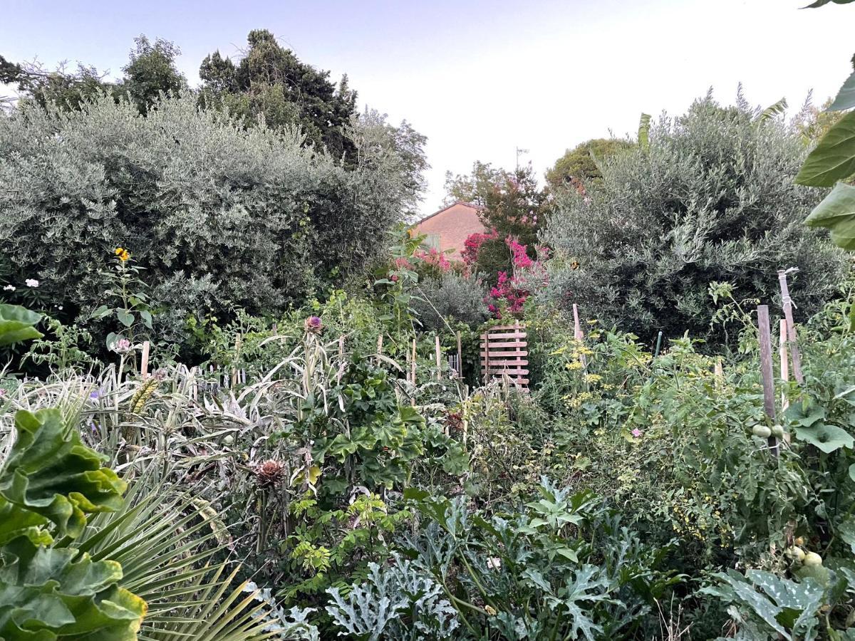 Villa Leona Clim Park Bollene Bagian luar foto