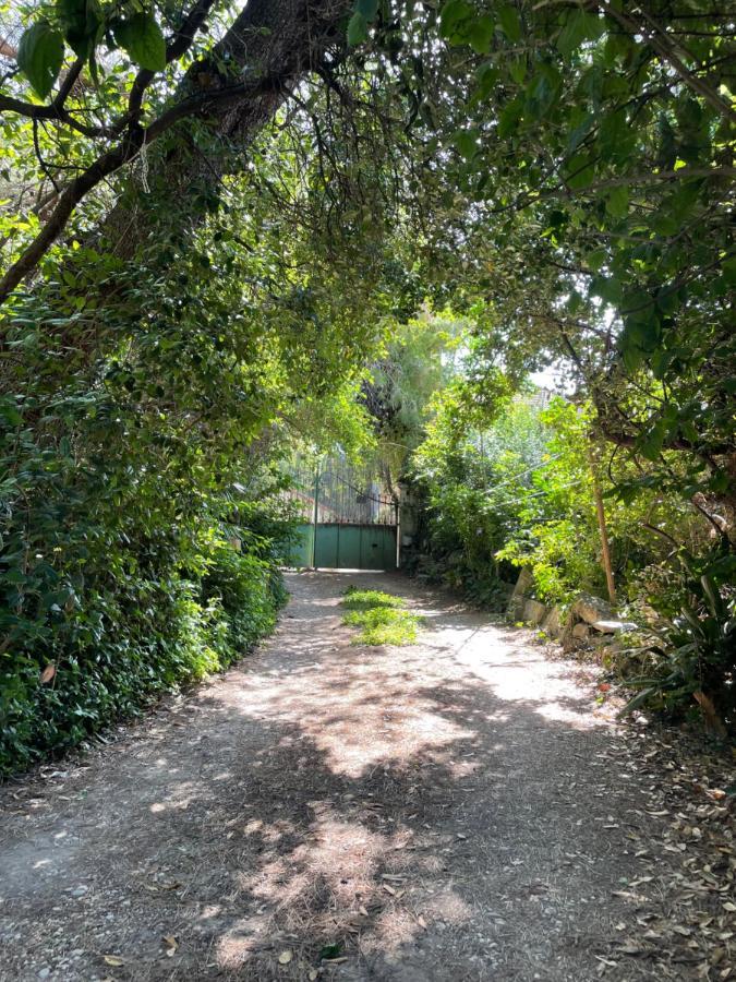 Villa Leona Clim Park Bollene Bagian luar foto