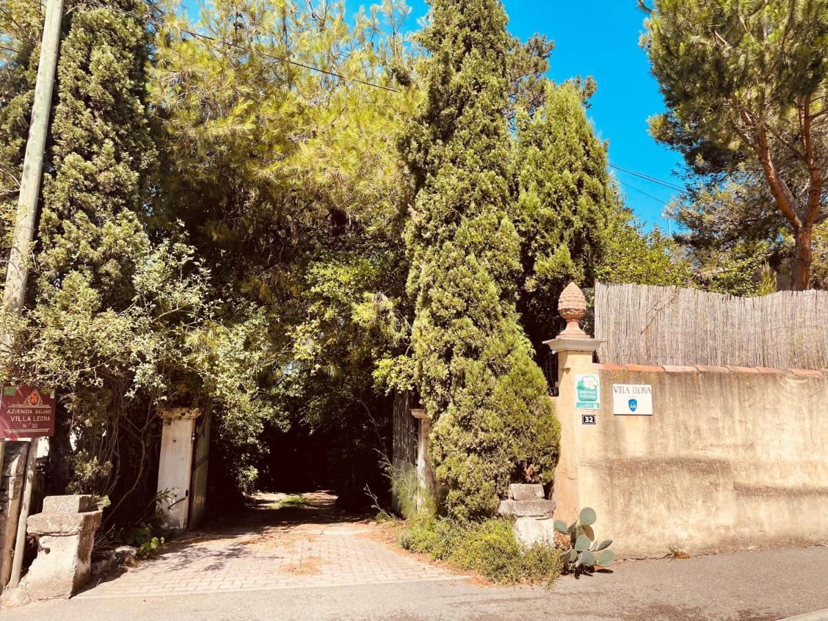 Villa Leona Clim Park Bollene Bagian luar foto