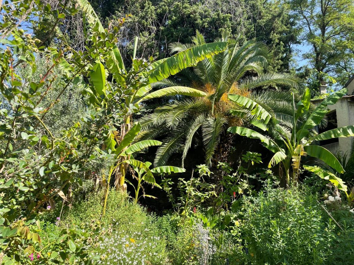 Villa Leona Clim Park Bollene Bagian luar foto