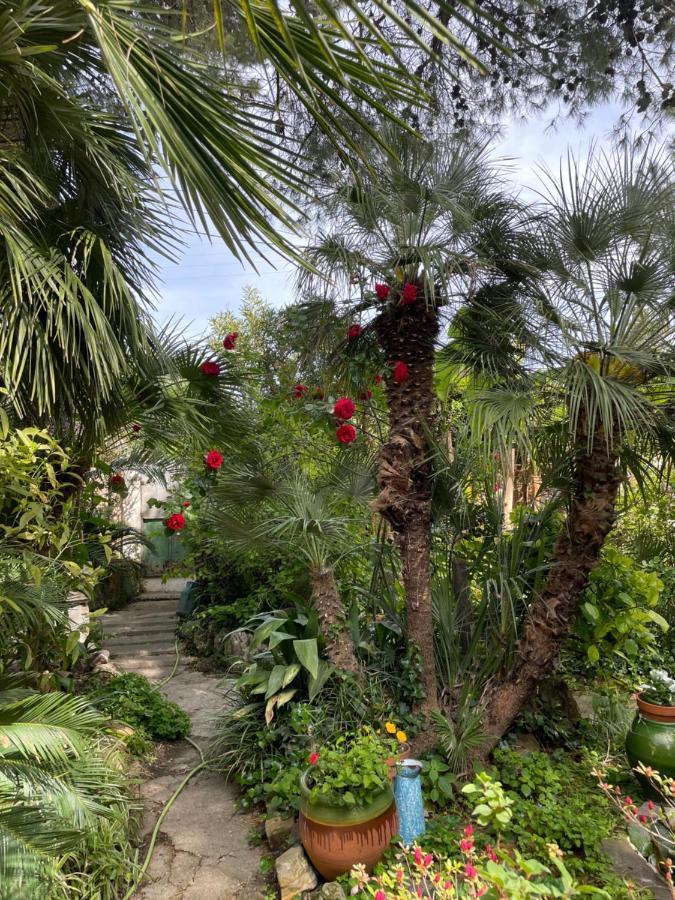 Villa Leona Clim Park Bollene Bagian luar foto